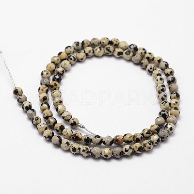 Natural Dalmatian Jasper Beads Strands X-G-D840-49-4mm-1