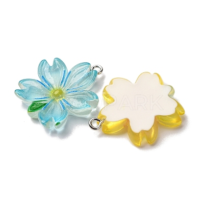 Transparent Resin Pendants RESI-A046-05H-1