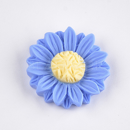 Resin Cabochons CRES-T010-59D-1