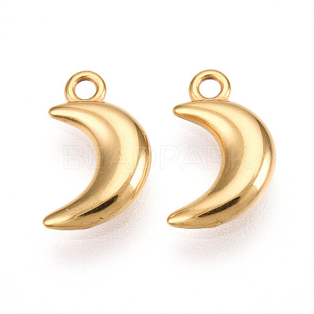 304 Stainless Steel Charms STAS-N109-138G-1