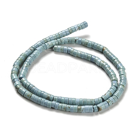 Natural Turquoise Beads Strands X-G-M422-C01-01-1