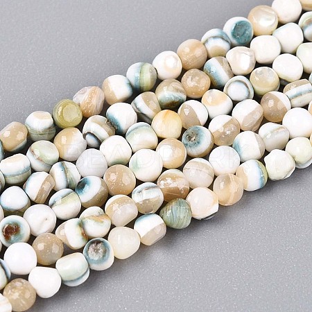 Luminous Natural Seashell Shell Beads Strands SSHEL-N040-05-1