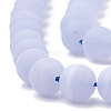 Natural Blue Lace Agate Beads Strands G-T106-032-2