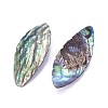 Natural Abalone Shell/Paua Shell Beads BSHE-F006-07-2