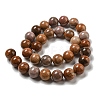 Natural Petrified Wood Round Bead Strands G-F266-08-8mm-4