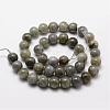 Natural Labradorite Bead Strands G-O155-05B-4mm-2