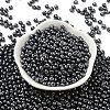 6/0 Glass Seed Beads SEED-L011-08A-10-2