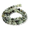 Natural Prehnite Beads Strands LS-G-P322-48-6mm-01-2