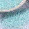 MIYUKI Round Rocailles Beads X-SEED-G009-RR0522-1