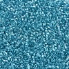 MIYUKI Delica Beads SEED-X0054-DB2382-3