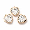 Faceted Glass Rhinestone Pendants GLAA-I051-B08-2