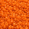 TOHO 6/0 Round Beads SEED-TR06-0042D-4