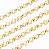 Iron Rolo Chains CHT038Y-G-2