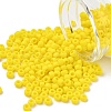 TOHO 6/0 Round Beads X-SEED-TR06-0042F-1