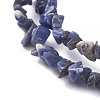 Natural Sodalite Beads Strands X-G-G782-31-3