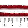 Synthetic Turquoise Beads Strands X-TURQ-G120-4x6mm-07-3