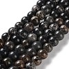 Dyed Natural Regalite/Imperial Jasper/Sea Sediment Jasper Beads Strands G-B124-C01-2