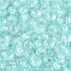 FGB Inside Colours Transparent Glass Seed Beads SEED-T009-01C-2