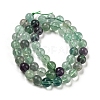Natural Rainbow Fluorite Bead Strands G-P255-01-8mm-4