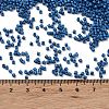 Baking Paint Glass Seed Beads X-SEED-S042-05B-75-4