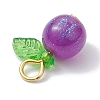 Imitation Cat Eye Resin Round Penants PALLOY-JF02660-01-4