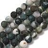 Natural Tree Agate Beads Strands X-G-T106-038-2