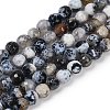 Natural Fire Crackle Agate Beads Strands G-C082-A01-39-2