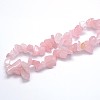 Natural Rose Quartz Beads Strands LS-G-O049-B-60-3