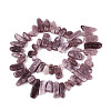 Dyed Natural Quartz Beads Strands G-Q606-24A-06-2