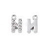 304 Stainless Steel Charms STAS-N095-137N-2