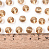 FGB Transparent Glass Seed Beads SEED-N013-01C-05-5