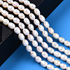 Natural Cultured Freshwater Pearl Beads Strands PEAR-N012-04J-2