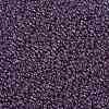 MIYUKI Round Rocailles Beads X-SEED-G008-RR0312-4