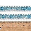 Dyed Imitation Gemstone Glass Beads Strands LS-GL-Z001-03A-12-4