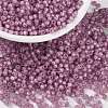 MIYUKI Round Rocailles Beads SEED-JP0009-RR0645-1