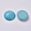 Synthetic Turquoise Cabochons G-TAC0001-01B-1