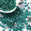 Glass Seed Beads SEED-H002-A-A617-1