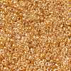 MIYUKI Round Rocailles Beads SEED-X0056-RR0234-2