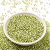 Glass Seed Beads X-SEED-S042-04B-24-2
