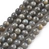 Natural Labradorite Beads Strands G-S333-6mm-035-01-1