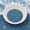 MIYUKI Delica Beads SEED-X0054-DB2383-2