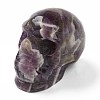 Halloween Natural Amethyst Home Decorations DJEW-K015-19-2