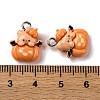 Halloween Theme Opaque Resin Pendants RESI-D075-02E-2