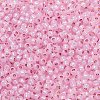 TOHO 11/0 Round Beads X-SEED-TR11-PF2105-2