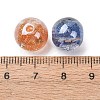 Luminous Transparent Resin & Glitter Powder Beads RESI-C073-16-4
