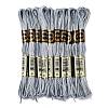 10 Skeins 6-Ply Polyester Embroidery Floss OCOR-K006-A62-1