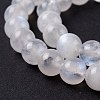 Natural Rainbow Moonstone Beads Strands G-I249-B04-05-4