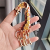 Alloy Enamel Brooches PW-WG55BBD-02-3