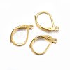 304 Stainless Steel Leverback Earring Findings X-STAS-P210-31G-1