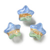 Gradient Color Transparent Hand-drawed Acrylic Beads TACR-P012-01B-10-1
